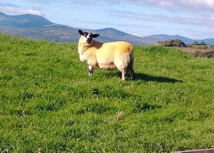 Apartment Westland No. 1