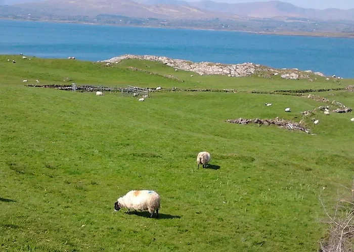 Westland No. 1 アパート *